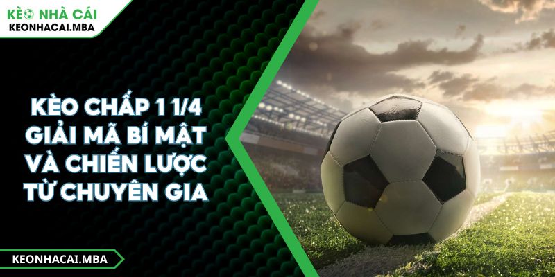 Kèo chấp 1 1/4 Giải mã bí mật và chiến lược từ chuyên gia 1 Kèo chấp 1 1/4 Giải mã bí mật và chiến lược từ chuyên gia