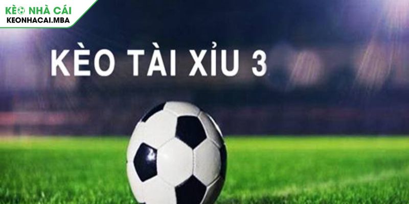 Tài Xỉu 3 Trái Bí Quyết Chinh Phục Kèo Đỉnh Cao Tại Nhà Cái 2 Tài xỉu 3 trái là gì?