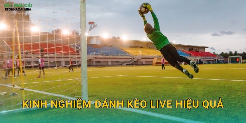 Kinh Nghiệm Đánh Kèo Live Hiệu Quả - Nắm Bắt Cơ Hội Trong Từng Phút Tại Kèo Nhà Cái MBA 1 Kinh Nghiệm Đánh Kèo Live Hiệu Quả – Nắm Bắt Cơ Hội Trong Từng Phút Tại Kèo Nhà Cái MBA