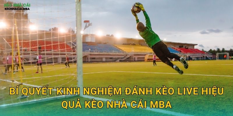 Kinh Nghiệm Đánh Kèo Live Hiệu Quả - Nắm Bắt Cơ Hội Trong Từng Phút Tại Kèo Nhà Cái MBA 3 Bí quyết kinh nghiệm đánh kèo live hiệu quả kèo nhà cái mba