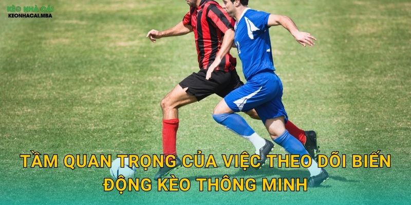 Theo Dõi Biến Động Kèo Thông Minh - Đọc Vị Ý Định Nhà Cái Tại Kèo Nhà Cái MBA 2 Tầm quan trọng của việc theo dõi biến động kèo thông minh