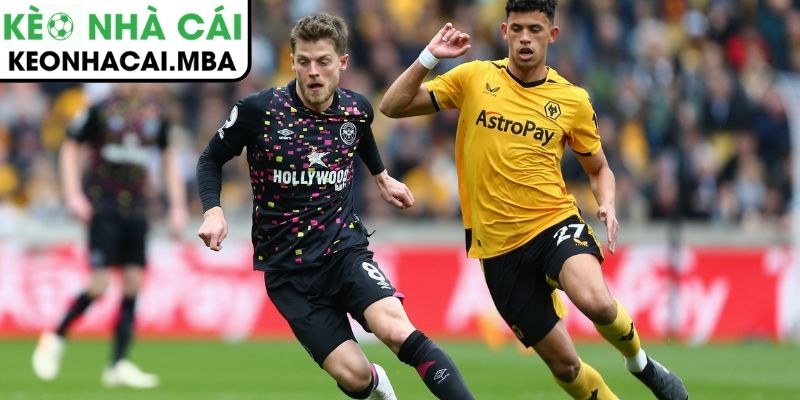 Soi kèo Brentford vs Wolverhampton Wanderers (03:00 17/03, Ngoại hạng Anh) 4 Thông tin lực lượng trận Brentford vs Wolverhampton Wanderers (03:00 17/03)