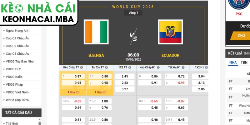Kèo châu Á trận Bờ Biển Ngà vs Ecuador (06:00 15/06, Bảng E - World Cup 2026)